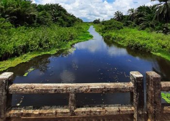 Governo realiza consultas públicas sobre gestão dos recursos hídricos das Bacias hidrográficas litorâneas