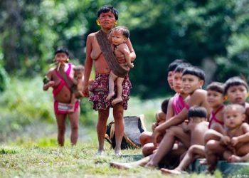 Ministro paraibano será o relator de auditoria para investigar situação do povo Yanomami