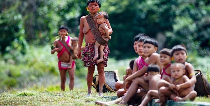 Ministro paraibano será o relator de auditoria para investigar situação do povo Yanomami