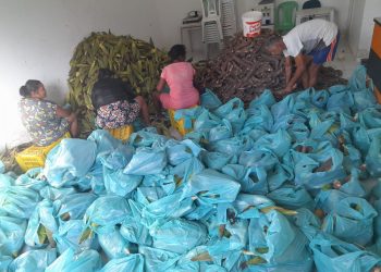 Prefeitura de Lucena distribui 5,35 toneladas de alimentos à população