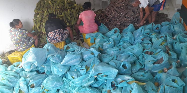 Prefeitura de Lucena distribui 5,35 toneladas de alimentos à população