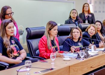 “Precisamos fortalecer a rede de apoio para o enfrentamento ao feminicídio”, destaca Danielle do Vale durante audiência pública na ALPB