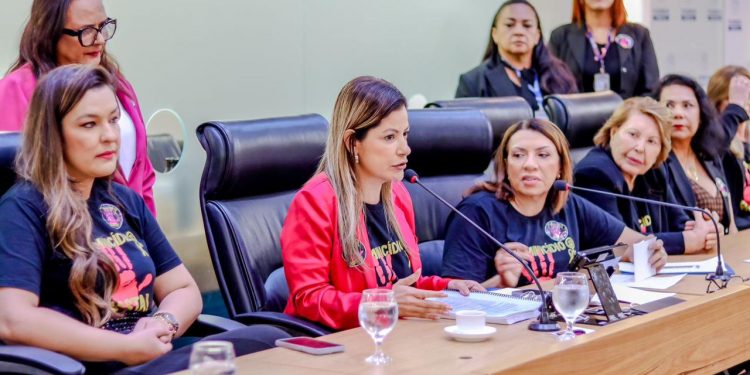 “Precisamos fortalecer a rede de apoio para o enfrentamento ao feminicídio”, destaca Danielle do Vale durante audiência pública na ALPB
