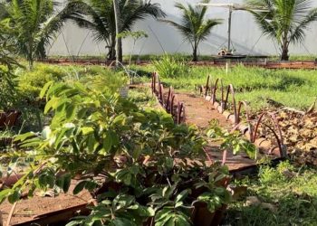 Moradores de Intermares promovem ato contra doação ilegal de área verde em Cabedelo, neste sábado