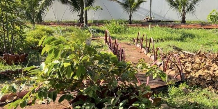 Moradores de Intermares promovem ato contra doação ilegal de área verde em Cabedelo, neste sábado