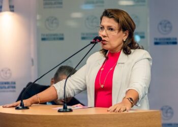 Deputada Dra. Jane destina R$ 150 mil para construção de poço artesiano na zona rural de Pedras de Fogo