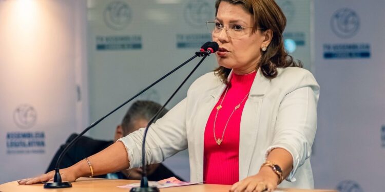 Deputada Dra. Jane destina R$ 150 mil para construção de poço artesiano na zona rural de Pedras de Fogo