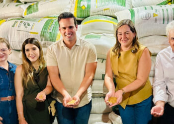 Prefeita e ex-prefeita de Monteiro declaram apoio a Lucas Ribeiro no Cariri