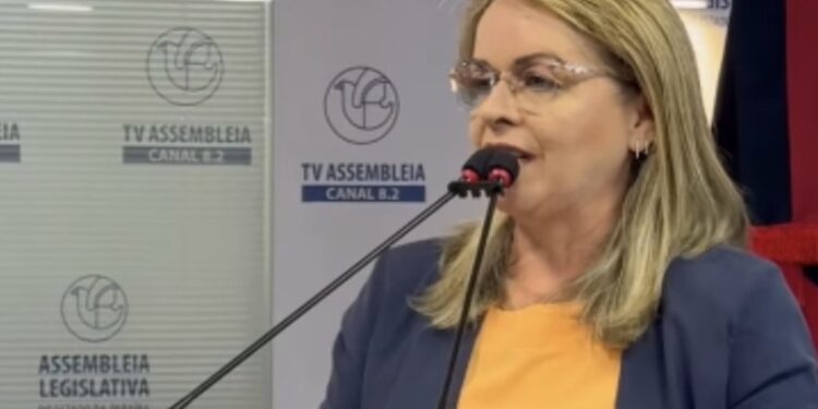 ALPB aprova projeto de Silvia Benjamim que proíbe imagens ofensivas contra mulheres em banheiros de estabelecimentos comerciais