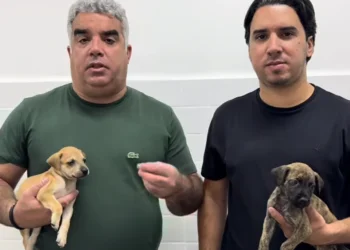 Filho de Guga Pet é nomeado secretário executivo da Proteção Animal do Estado