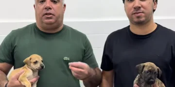 Filho de Guga Pet é nomeado secretário executivo da Proteção Animal do Estado