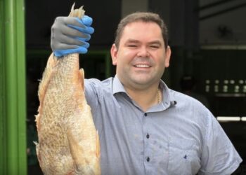 Prefeitura de Alagoinha distribui 16 toneladas de peixe e reforça apoio alimentar na Semana Santa